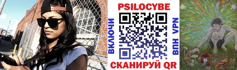 Галлюциногенные грибы мицелий  купить наркоту  Владивосток 